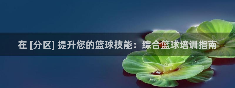 欧陆娱乐挂机项目怎么设置：在 [分区] 提升您的篮球