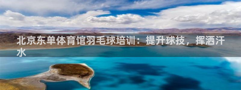 欧陆娱乐脚本怎么下载：北京东单体育馆羽毛球培训：提升