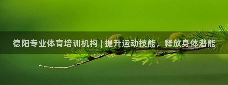 欧陆娱乐怎么注册帐号：德阳专业体育培训机构 | 提升