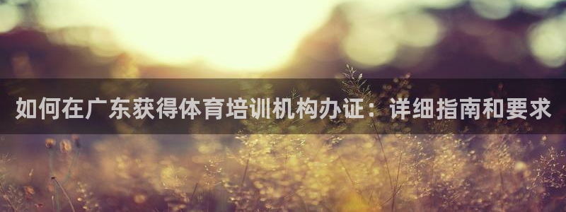 欧陆娱乐登录平台：如何在广东获得体育培训机构办证：详