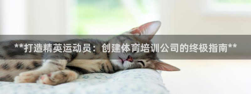 欧陆娱乐打什么方案赚钱：**打造精英运动员：创建体育