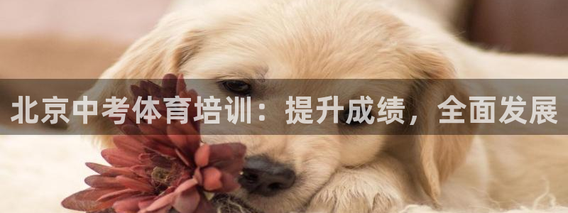 重庆欧陆娱乐有限公司电话：北京中考体育培训：提升成绩