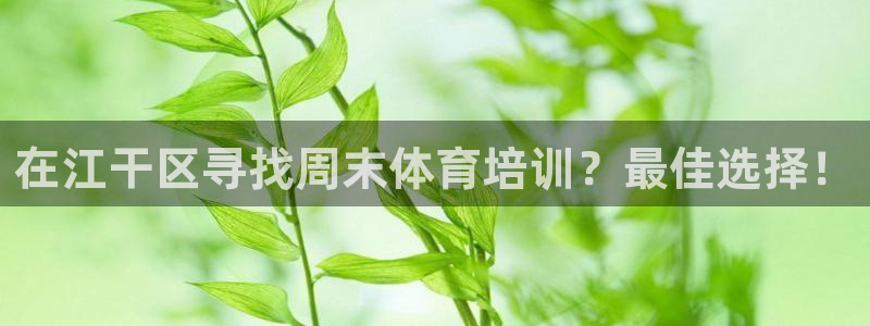 欧陆娱乐百科官网：在江干区寻找周末体育培训？最佳选择