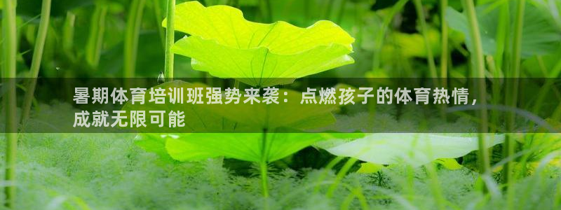 欧陆娱乐平台官网入口：暑期体育培训班强势来袭：点燃孩
