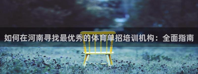 欧陆娱乐测试网站：如何在河南寻找最优秀的体育单招培训