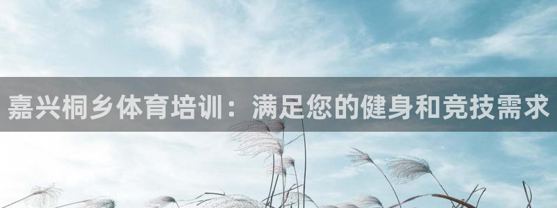 欧陆娱乐欢迎访问：嘉兴桐乡体育培训：满足您的健身和竞技需求