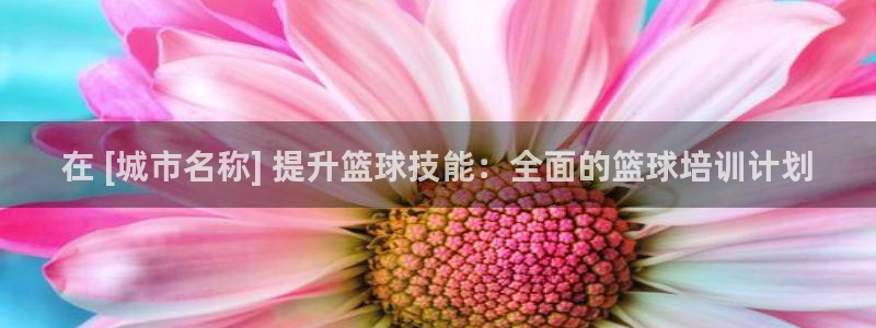 欧陆娱乐注册代理多少钱：在 [城市名称] 提升篮球技