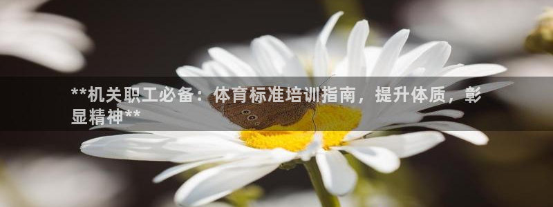 欧陆娱乐测试网站：**机关职工必备：体育标准培训指南