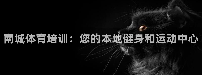 欧陆娱乐共创美好时刻：南城体育培训：您的本地健身和运
