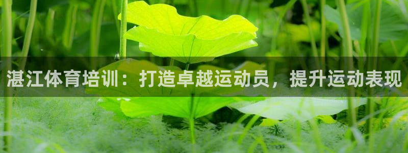 欧陆娱乐登陆官网下载：湛江体育培训：打造卓越运动员，