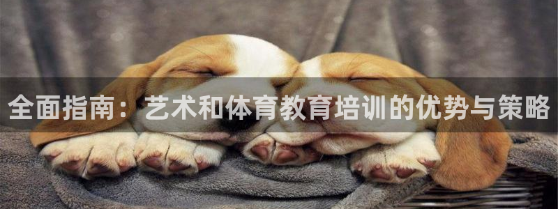 欧陆娱乐注册代理多少钱啊：全面指南：艺术和体育教育培