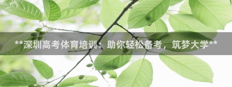 欧陆娱乐怎么注册会员账号：**深圳高考体育培训：助你