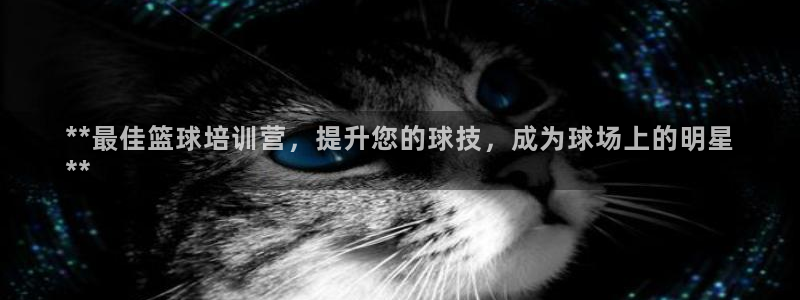 欧陆娱乐登录官网下载：**最佳篮球培训营，提升您的球