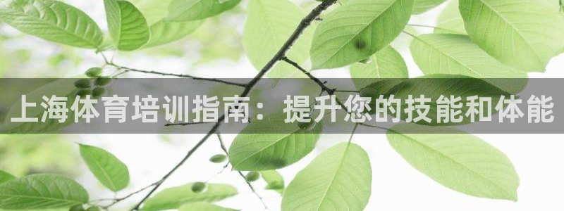 欧陆娱乐注册链接安全吗：上海体育培训指南：提升您的技
