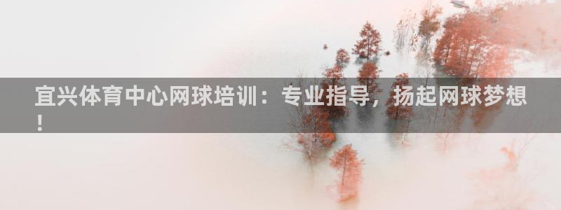 欧陆娱乐登录平台官网：宜兴体育中心网球培训：专业指导，扬起网