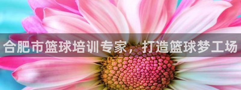 重庆欧陆娱乐有限公司怎么样：合肥市篮球培训专家，打造篮球梦工