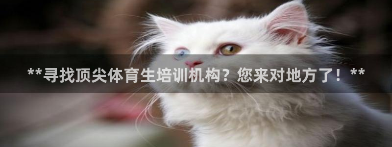 欧陆娱乐分分彩：**寻找顶尖体育生培训机构？您来对地方了！*