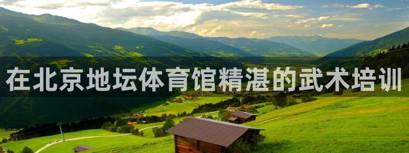 欧陆软件官网：在北京地坛体育馆精湛的武术培训