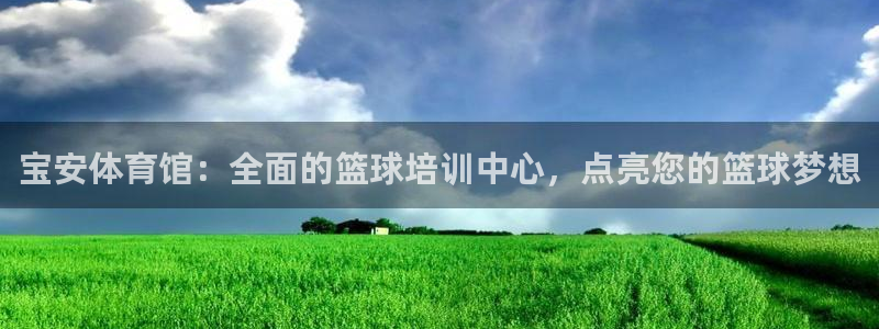 欧陆娱乐官网入口网址：宝安体育馆：全面的篮球培训中心