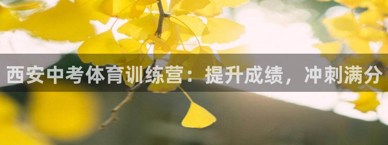 欧陆娱乐公司产品介绍大全：西安中考体育训练营：提升成