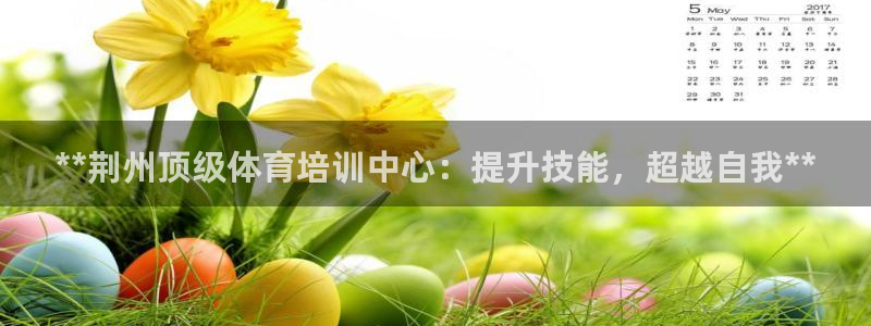 欧陆娱乐代理多少个点位可以赚钱：**荆州顶级体育培训