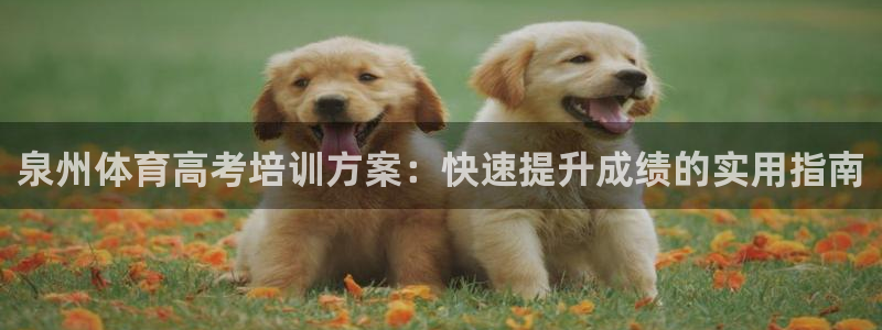欧陆娱乐app下载安装：泉州体育高考培训方案：快速提