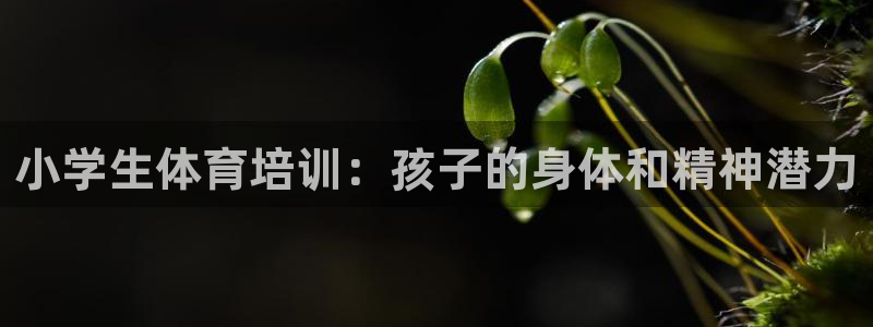 欧陆娱乐能提现嘛安全吗：小学生体育培训：孩子的身体和精神潜力