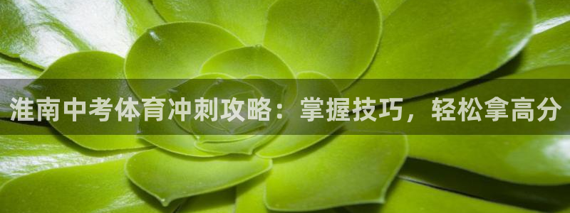 欧陆娱乐分分彩：淮南中考体育冲刺攻略：掌握技巧，轻松