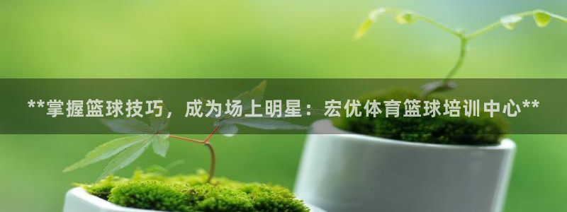 欧陆娱乐平台登录不上去怎么办：**掌握篮球技巧，成为