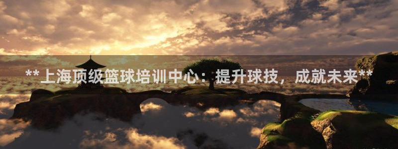 欧陆娱乐app攻略下载：**上海顶级篮球培训中心：提升球技，