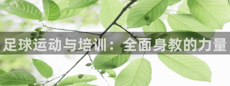 欧陆娱乐招商主管