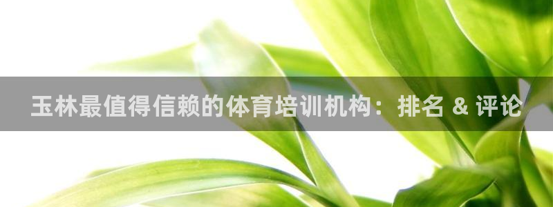 欧陆娱乐官方网站下载：玉林最值得信赖的体育培训机构：排名 &