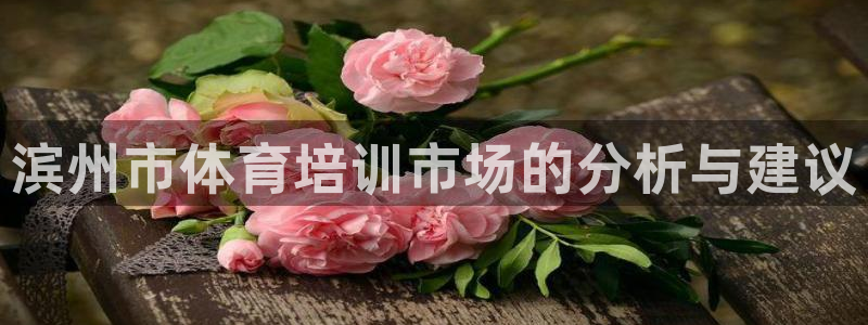 欧陆娱乐的故事有哪些：滨州市体育培训市场的分析与建议
