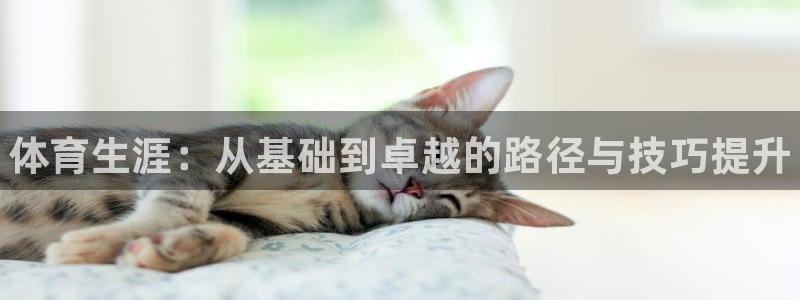 欧陆娱乐突然登录不了了：体育生涯：从基础到卓越的路径