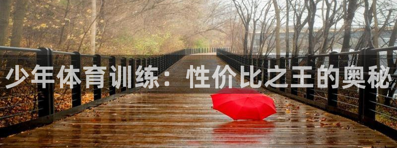 欧陆娱乐怎么注册会员账号啊：少年体育训练：性价比之王