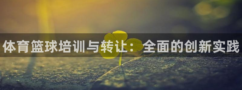 欧陆娱乐有风险吗：体育篮球培训与转让：全面的创新实践