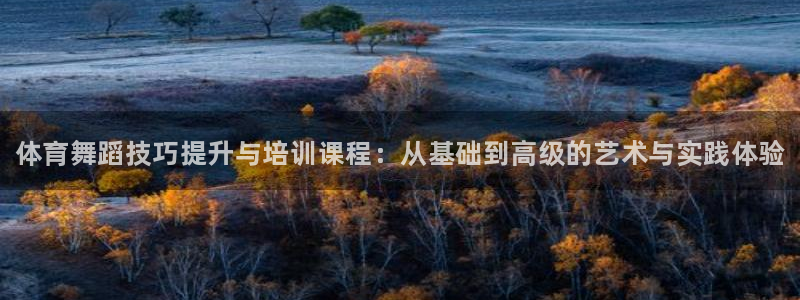 欧陆娱乐公司产品介绍图片：体育舞蹈技巧提升与培训课程