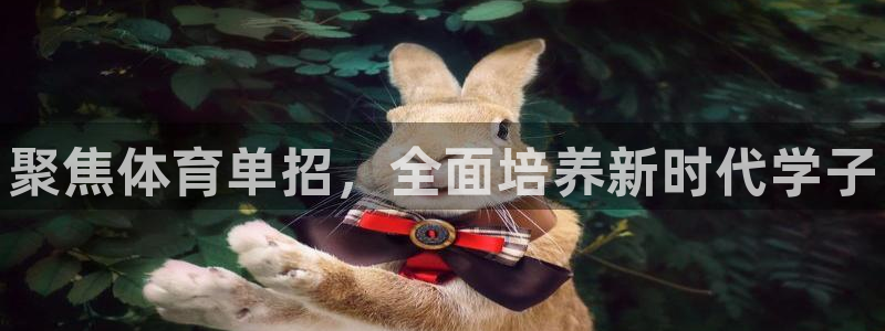 欧陆娱乐平台咋样赚钱快：聚焦体育单招，全面培养新时代