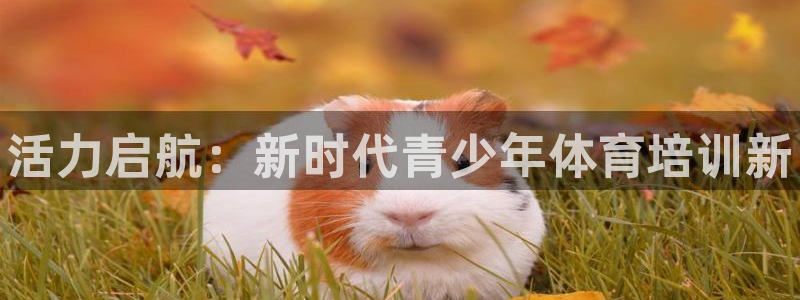 欧陆娱乐挂机怎么玩的